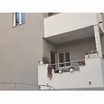 Rex *