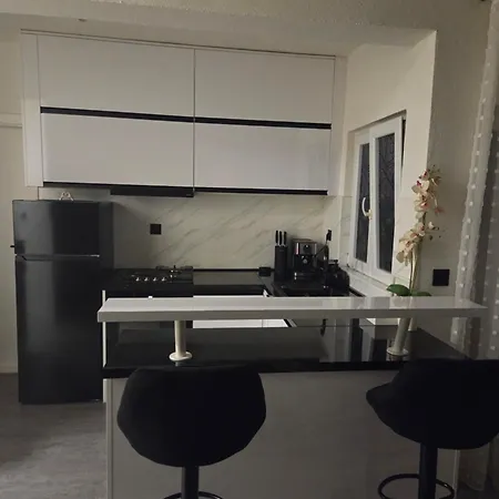 Rex Apartmán Svinisce